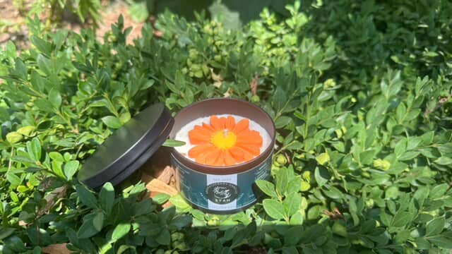 Osmanthus Candle